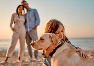 Amenez votre animal de compagnie