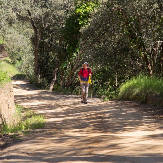 Parque Natural del Montnegre (Montnegre Natural Park)