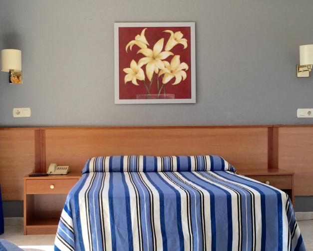 Quadruple Room (2 Adults + 2 Children)